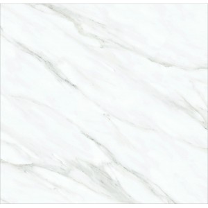 顺辉瓷砖SAY0889038