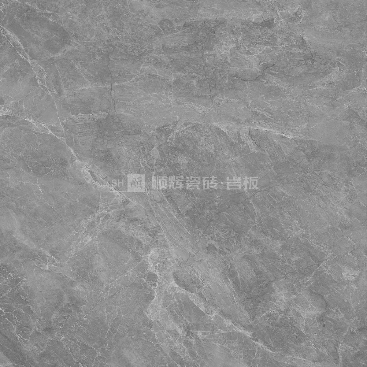 顺辉瓷砖SHA573AP1230