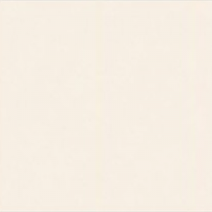 KIMS*顶级莎安娜